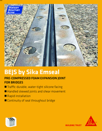 BEJS Fact Sheet Cover